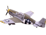 P51B �ޥ�����